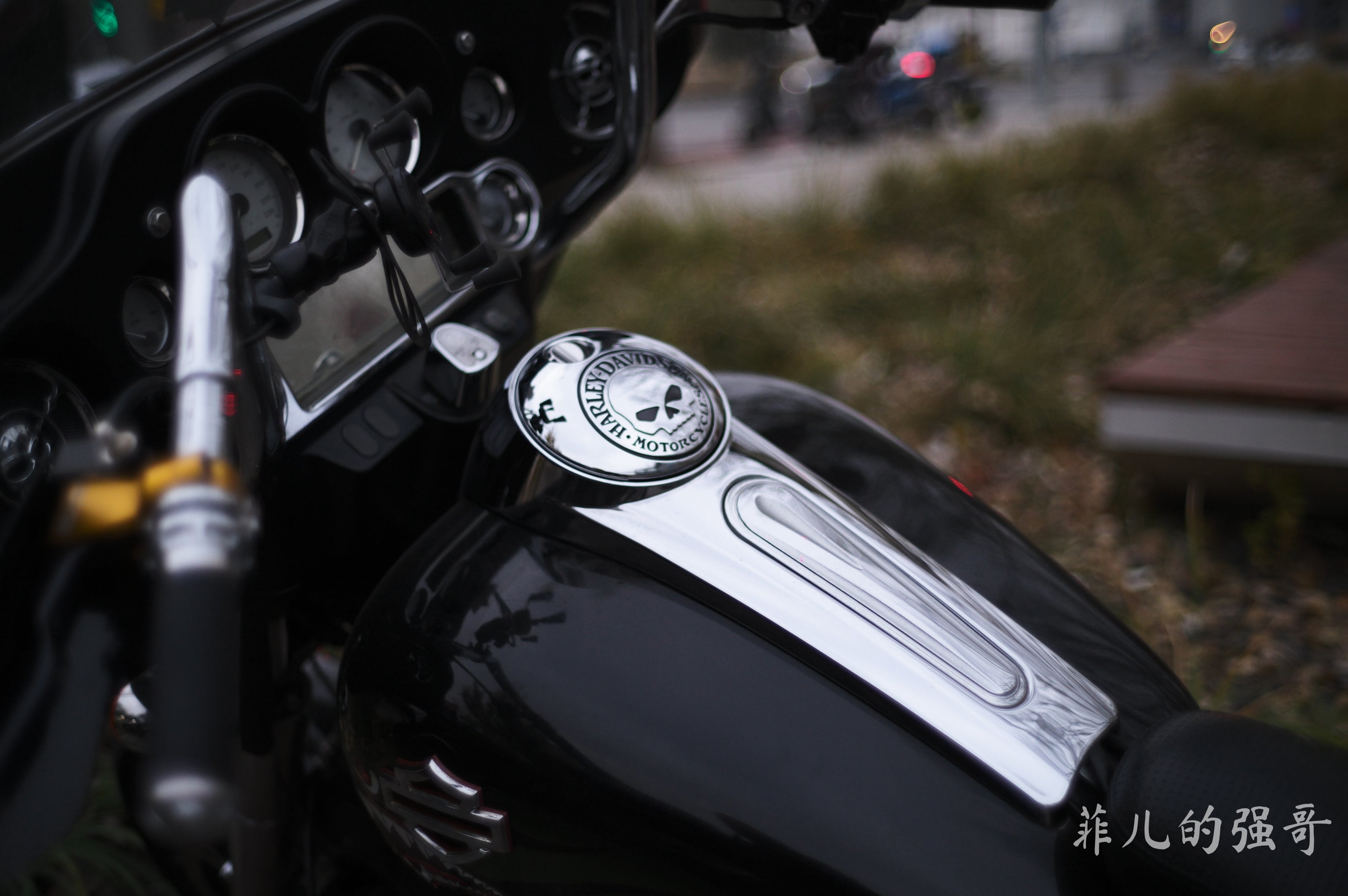 Photo captured using Artizlab Classic 35mm lens, showing natural color rendering with film-like texture and atmospheric depth