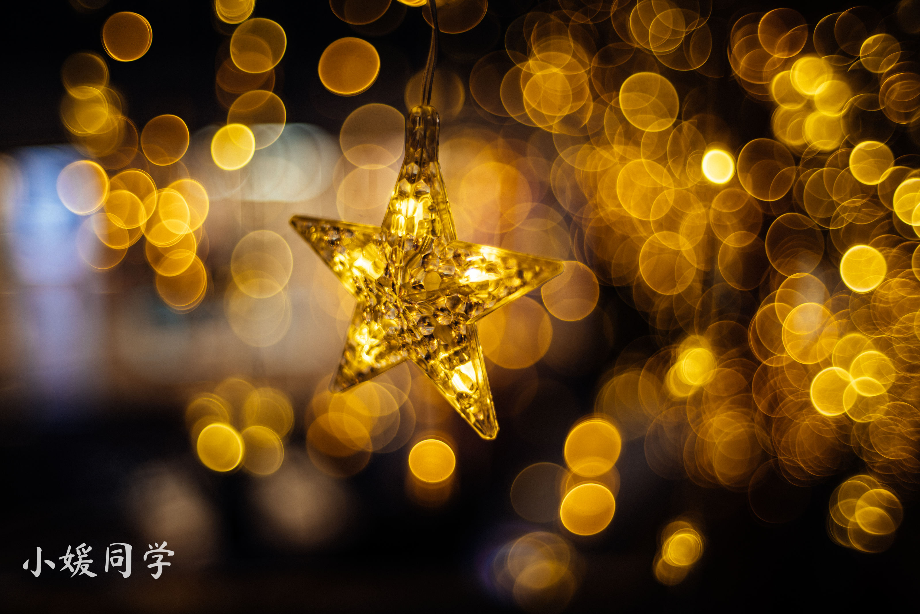 Photo captured using Artizlab Classic 35mm lens, showing natural color rendering with film-like texture and atmospheric depth